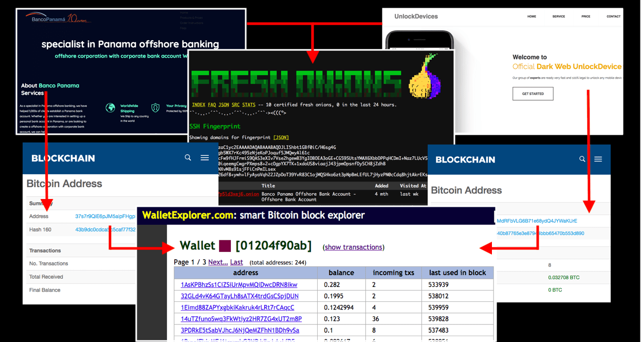 Diagram linking two dark web onion sites to a shared bitcoin wallet and an exchange
