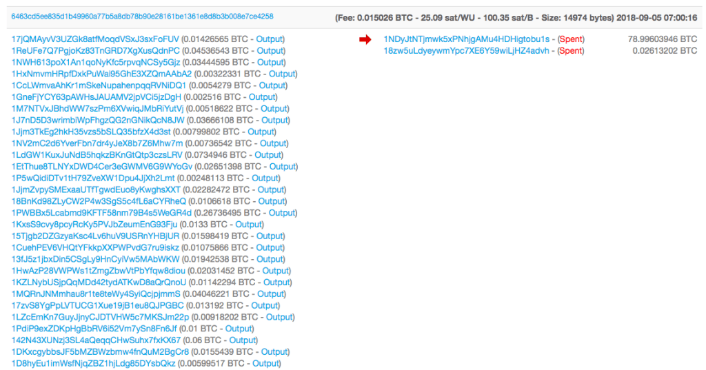 Screenshot showing Two of the wallet addresses paying out to Binance