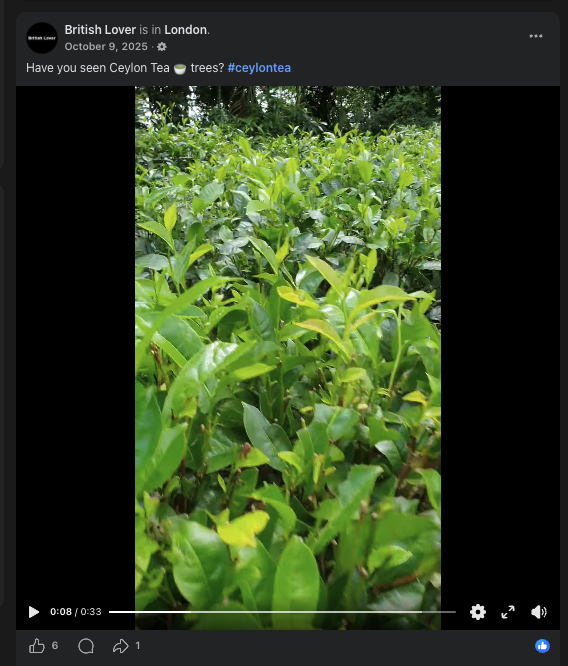 Screenshot showing Posts tagged to London (1 of 3)