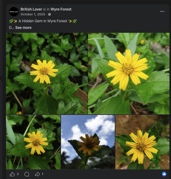 Screenshot showing Posts tagged to London (3 of 3)